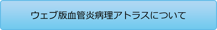 ウェブ版血管炎病理アトラスについて