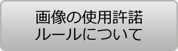 画像の使用許諾ルールについて